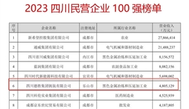 連續(xù)六年！德勝集團上榜“四川民營企業(yè)100強”