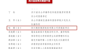 德勝釩鈦公司團(tuán)委再獲一省級榮譽